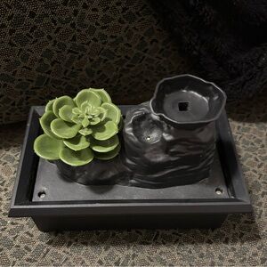 Artificial Succulent & Rock Water Fountain With Black Base & Decorative Rocks